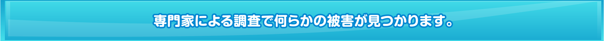 専門家による調査で何らかの被害が見つかります