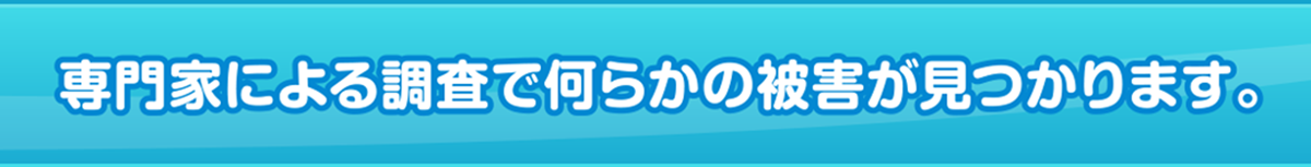 専門家による調査で何らかの被害が見つかります